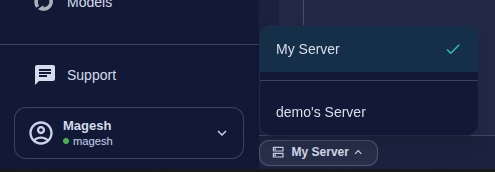 Server switcher dropdown in the bottom-left corner