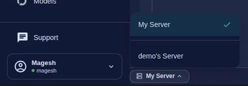 Server switcher dropdown in the bottom-left corner